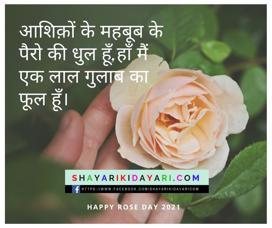 Rose Day Sad Shayari in Hindi
