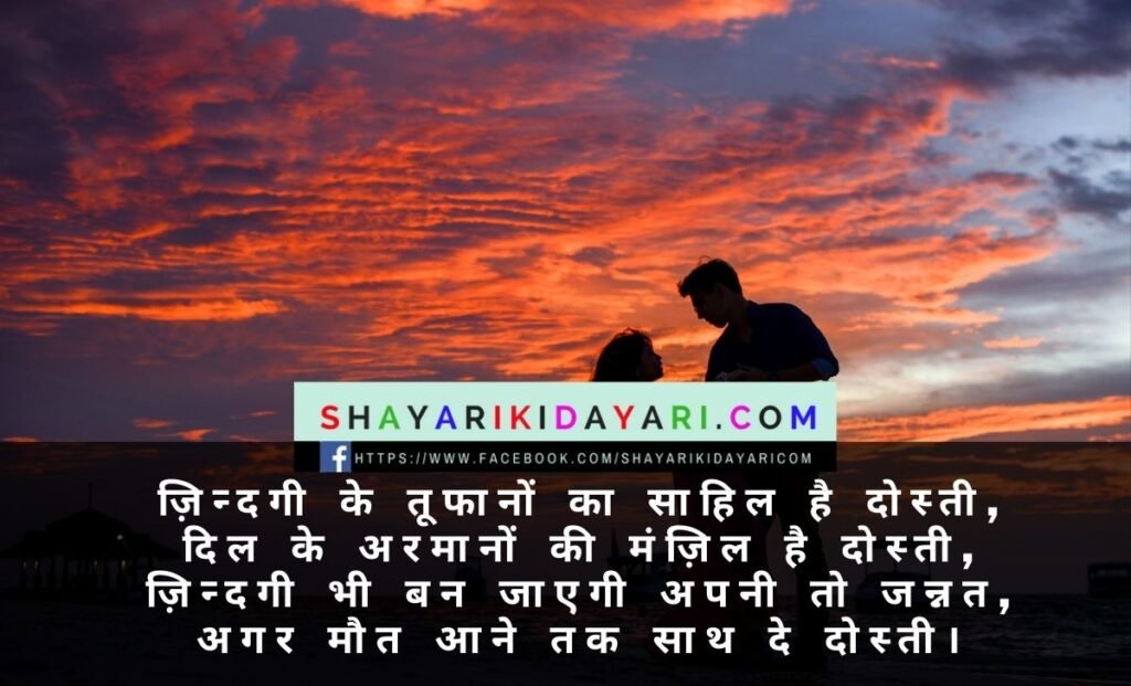 Double meaning shayari for best friend