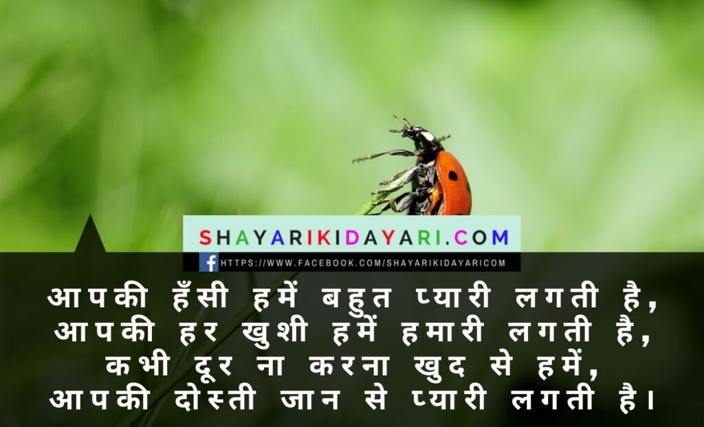 funny friendship shayari in hindi