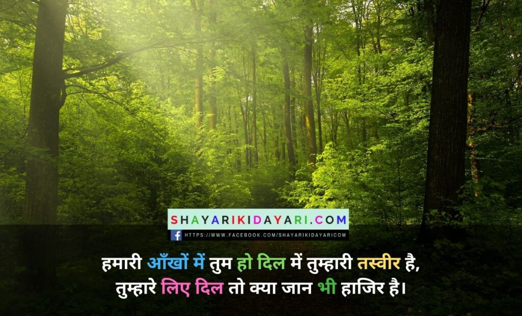 Shayari Love In Hindi