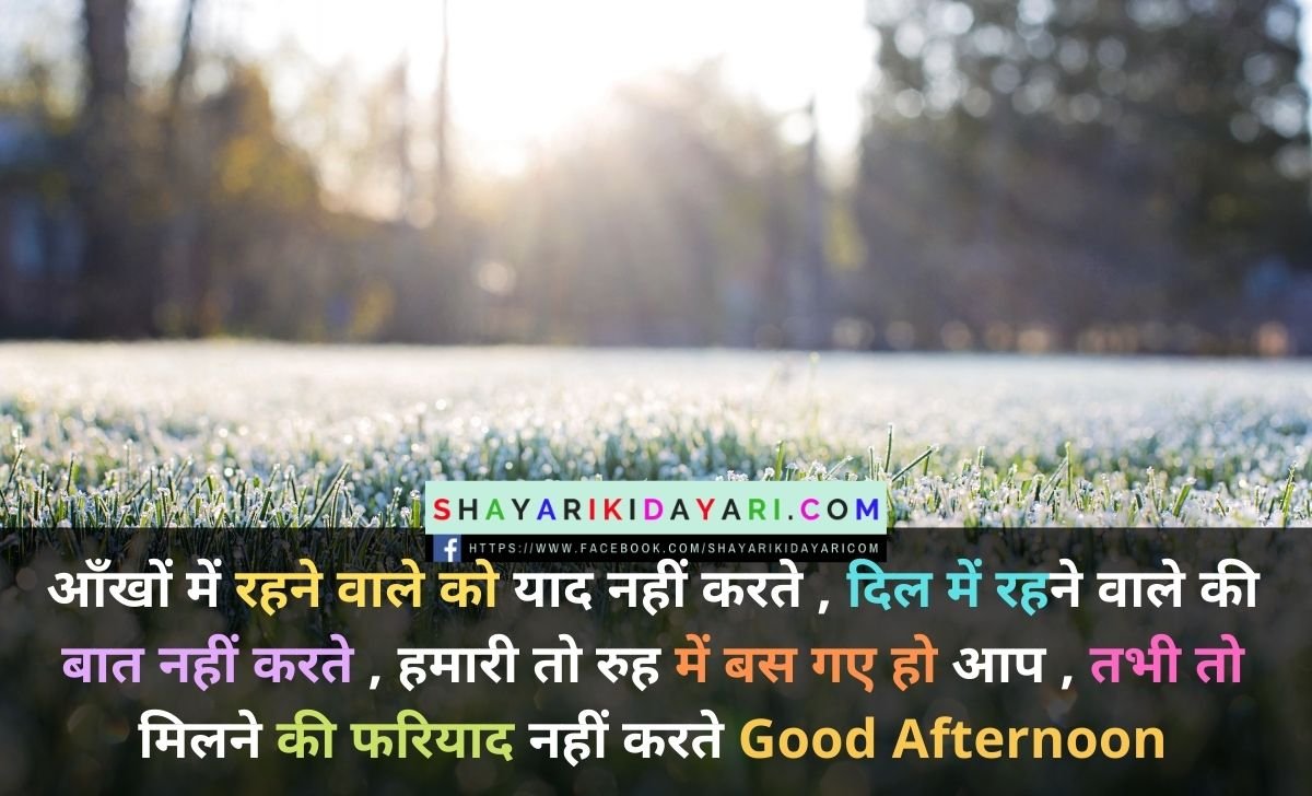 Happy Good Afternoon Sunday Shayari in Hindi