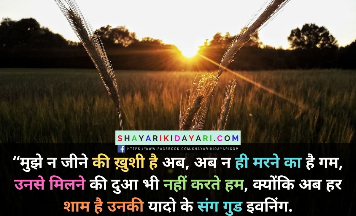 Happy Good Evening Friday Shayari in Hindi