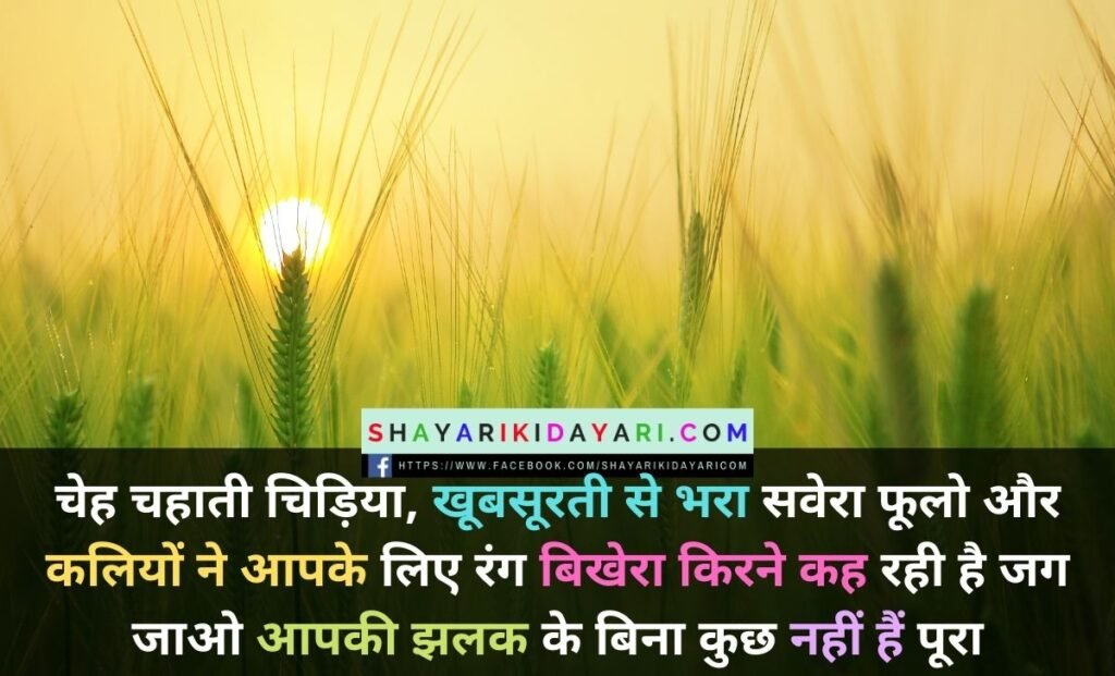 Happy Good Morning Wednesday Shayari in Hindi