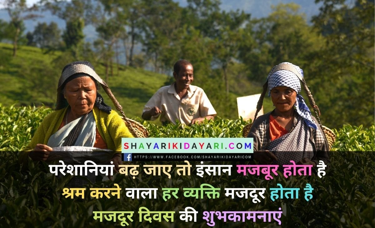 Happy International Labour Day Shayari in Hindi