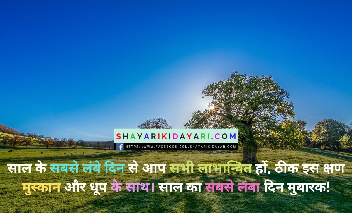Longest Day of the Year Shayari in Hindi