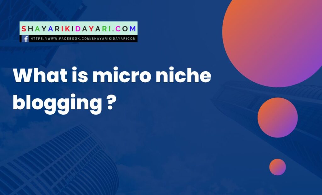 What is micro niche blogging