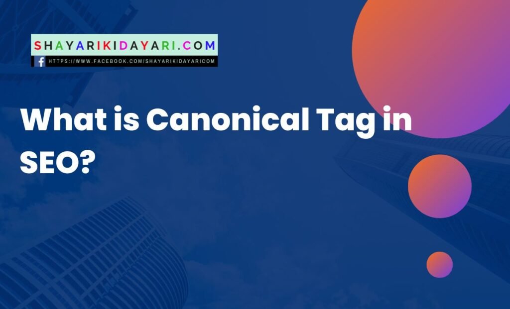 What is Canonical Tag in SEO