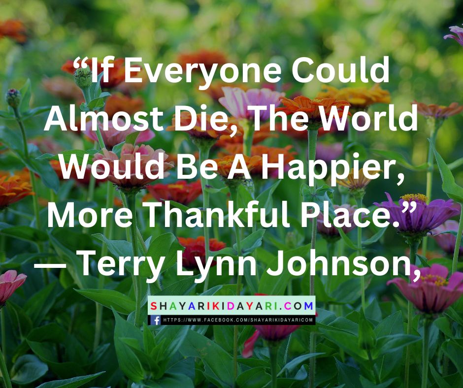 Best Terry Johnson Quotes On Inspirational Love