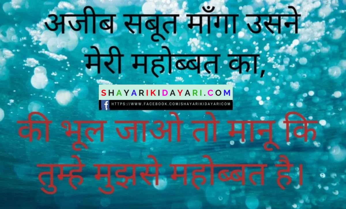 love shayari in hindi for girlfriend 100 words